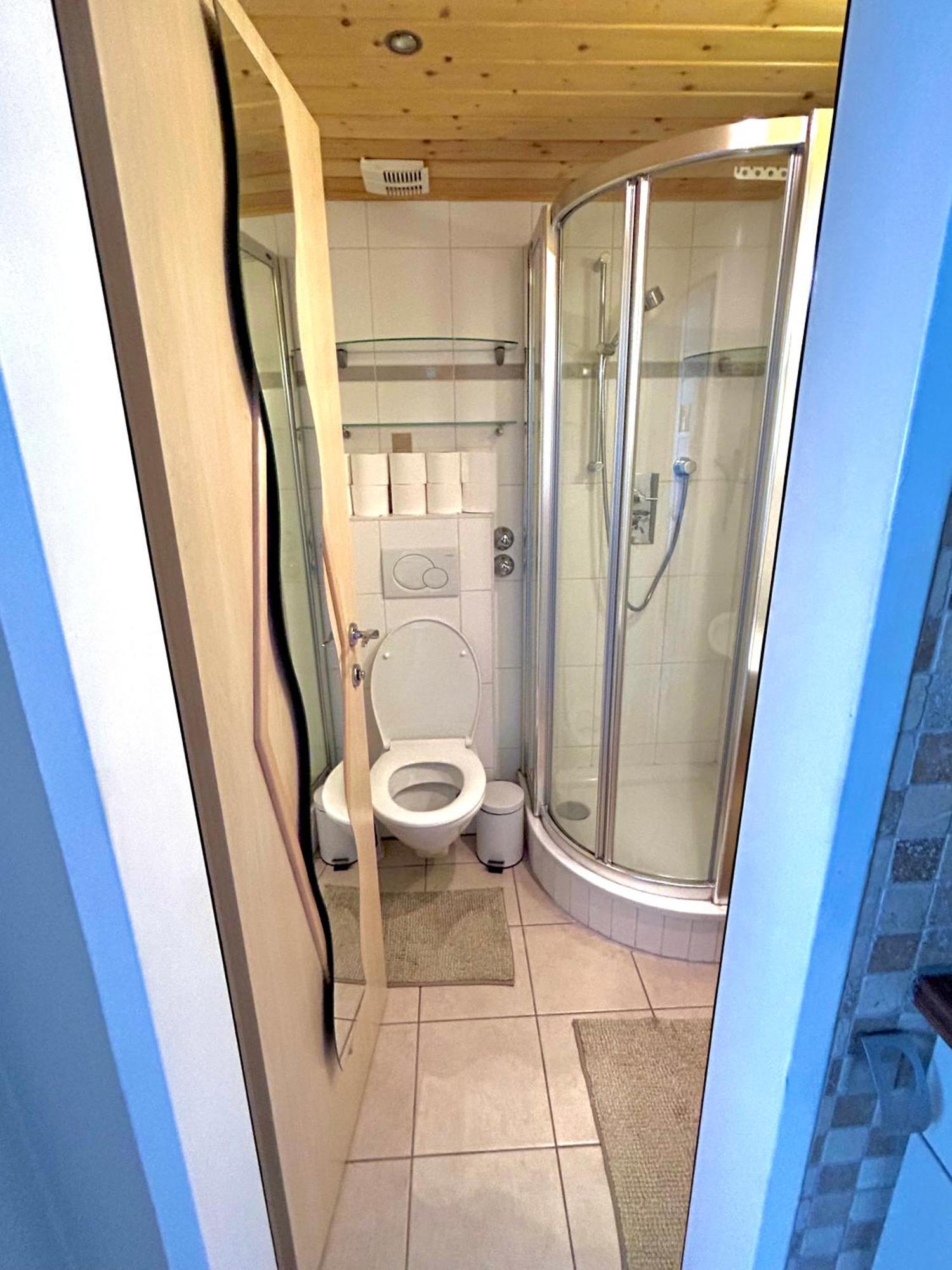 Alpine Apartment Schladming Mit Sauna Und Pool Dış mekan fotoğraf